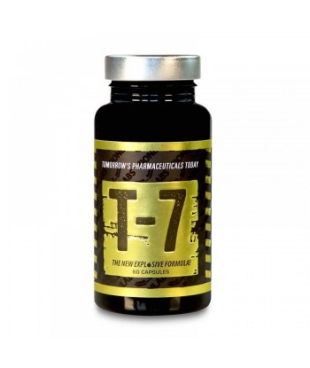 T7 Zion Labs 60 capsules