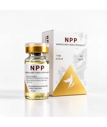 Anubis Nandrolon Phenylpropionat 100 mg/ml – NPP Durchstechflasche 10 ml mit Verpackung