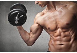 Estrategias para un desarrollo muscular sostenible