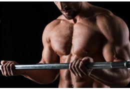 Potencia, libido & función: cómo protegemos nuestro mejor atributo durante el ciclo de esteroides