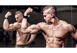 Nandrolonpropionaat vs. nandrolondecanoaat – Wat is beter voor onze doelen?