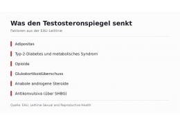 Testosteron steigern: was belegt ist und was nicht