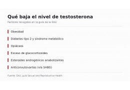 Aumentar la testosterona: qué funciona de verdad