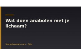 Wat doen anabolen met je lichaam?